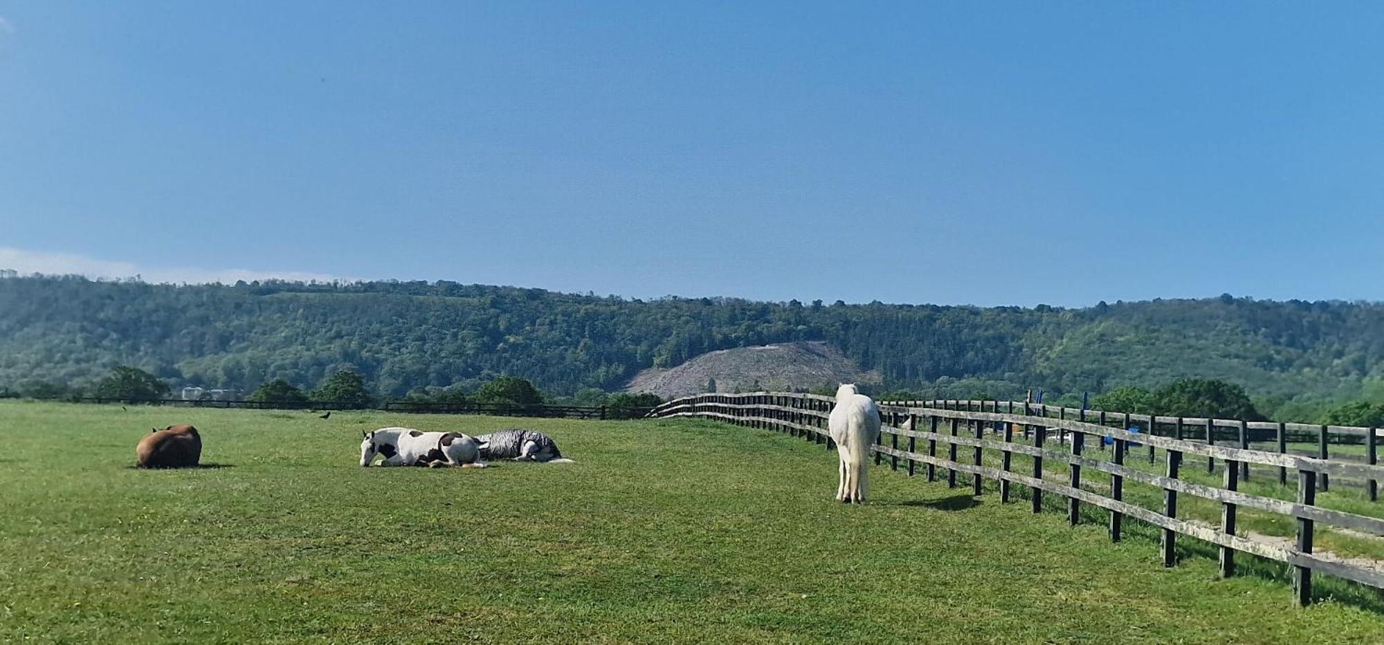 فيلا Aspen Leaves: The Perfect Farm Retreat Graffham المظهر الخارجي الصورة
